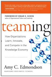 Baixar Teaming: How Organizations Learn, Innovate, and Compete in the Knowledge Economy pdf, epub, eBook