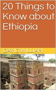 Baixar 20 Things to Know about Ethiopia (English Edition) pdf, epub, eBook