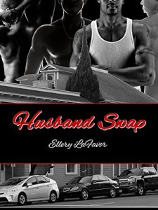 Baixar Husband Swap (English Edition) pdf, epub, eBook
