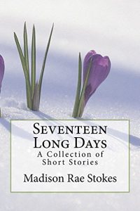 Baixar Seventeen Long Days: A Collection of Short Stories (English Edition) pdf, epub, eBook