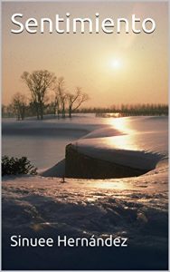 Baixar Sentimiento (Spanish Edition) pdf, epub, eBook