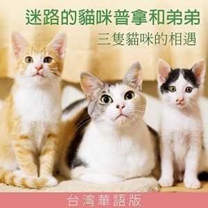 Baixar Happy days of three cats Taiwan Chinese version (Japanese Edition) pdf, epub, eBook