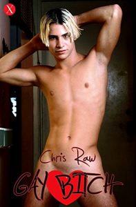 Baixar Gay Bitch: Schlampe aus Leidenschaft (German Edition) pdf, epub, eBook