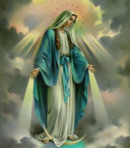 Baixar Just Who is the Woman of Revelation 12? (English Edition) pdf, epub, eBook