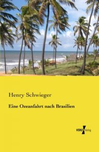 Baixar Eine Ozeanfahrt nach Brasilien (German Edition) pdf, epub, eBook