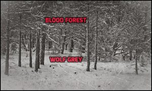 Baixar Blood Forest (English Edition) pdf, epub, eBook