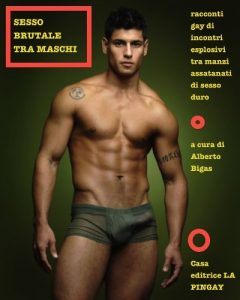 Baixar SESSO BRUTALE TRA MASCHI – racconti gay di incontri esplosivi tra manzi assatanati di sesso duro (Italian Edition) pdf, epub, eBook
