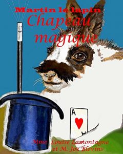 Baixar Chapeau magique: Fais un voeu (Hat Trick t. 2) (French Edition) pdf, epub, eBook