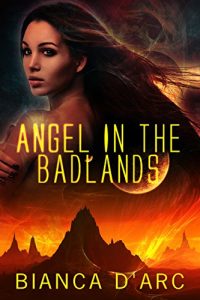 Baixar Angel in the Badlands (Sons of Amber Book 1) (English Edition) pdf, epub, eBook
