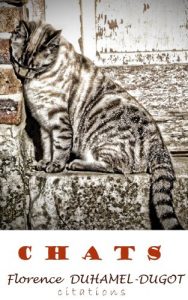 Baixar CHATS (Nos auteurs nous disent t. 1) (French Edition) pdf, epub, eBook