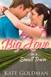 Baixar Big Love in a Small Town (English Edition) pdf, epub, eBook