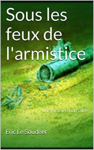 Baixar Sous les feux de l’armistice: Une histoire humaine (French Edition) pdf, epub, eBook