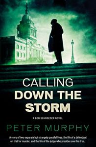 Baixar Calling Down the Storm: The Fifth Ben Schroeder Legal Thriller (A Ben Schroeder Legal Thriller) pdf, epub, eBook