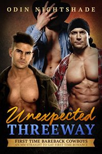 Baixar Unexpected Threeway: An MM Straight to Gay First Time Romance (First Time Bareback Cowboys Book 4) (English Edition) pdf, epub, eBook