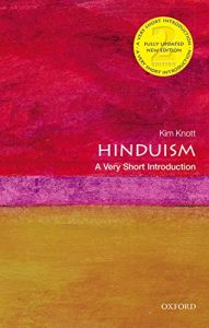 Baixar Hinduism: A Very Short Introduction (Very Short Introductions) pdf, epub, eBook