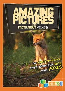 Baixar Amazing Pictures and Facts About Foxes: The Most Amazing Fact Book for Kids About Foxes (English Edition) pdf, epub, eBook