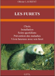 Baixar LES FURETS (French Edition) pdf, epub, eBook