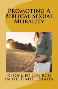 Baixar Promoting A Biblical Sexual Morality (English Edition) pdf, epub, eBook