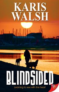 Baixar Blindsided (English Edition) pdf, epub, eBook
