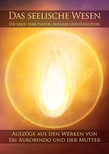 Baixar Das seelische Wesen: Die Seele: Ihre Natur, Aufgabe und Evolution (German Edition) pdf, epub, eBook