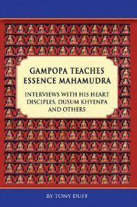 Baixar Gampopa Teaches Essence Mahamudra Volume I (English Edition) pdf, epub, eBook