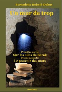Baixar UN MUR DE TROP (French Edition) pdf, epub, eBook