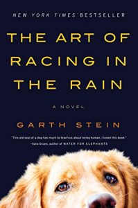 Baixar The Art of Racing in the Rain: A Novel pdf, epub, eBook
