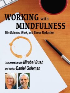 Baixar Working with Mindfulness: Mindfulness, Work, and Stress Reduction (Working with Mindfulness: Research and Practice of Mindfull Techniques in Organizations Book 2) (English Edition) pdf, epub, eBook