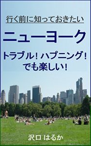 Baixar New York Trouble Happening and Enjoy: Want to know before going to New York (Japanese Edition) pdf, epub, eBook
