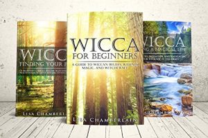 Baixar Wicca Starter Kit: Wicca for Beginners, Finding Your Path, and Living a Magical Life (English Edition) pdf, epub, eBook
