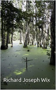 Baixar レディローザ (Japanese Edition) pdf, epub, eBook