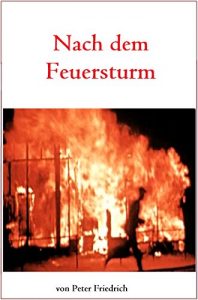 Baixar Nach dem Feuersturm: Hamburg Juli 1943 (German Edition) pdf, epub, eBook