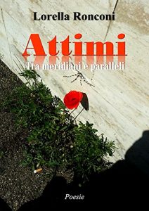 Baixar Attimi. Tra meridiani e paralleli pdf, epub, eBook