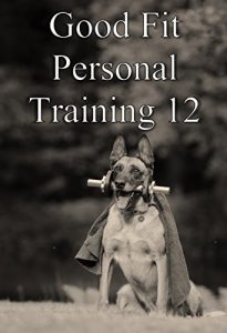Baixar Good fit personal training 12 (Japanese Edition) pdf, epub, eBook
