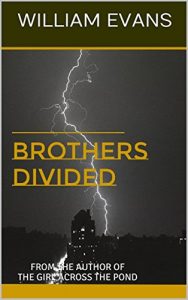 Baixar BROTHERS DIVIDED: From the Author of the Girl Across the Pond (English Edition) pdf, epub, eBook