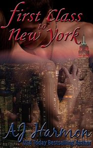 Baixar First Class to New York (First Class series Book 1) (English Edition) pdf, epub, eBook