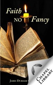 Baixar Faith No Fancy (English Edition) pdf, epub, eBook