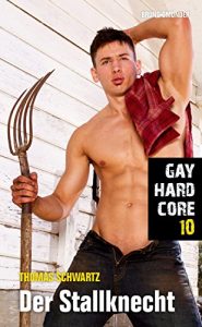 Baixar Gay Hardcore 10: Der Stallknecht (German Edition) pdf, epub, eBook