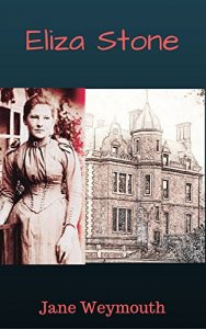 Baixar Eliza Stone (English Edition) pdf, epub, eBook