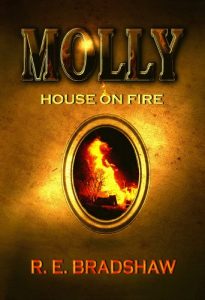 Baixar Molly: House on Fire (English Edition) pdf, epub, eBook