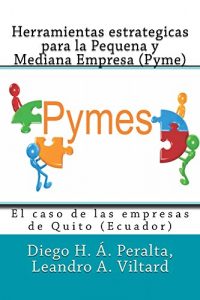 Baixar Herramientas estrategicas para la Pequena y Mediana Empresa (Pyme) (Business Systems Books) (Spanish Edition) pdf, epub, eBook