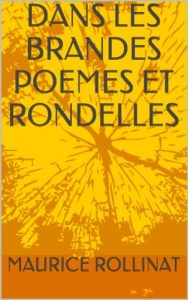 Baixar DANS LES BRANDES POEMES ET RONDELLES (French Edition) pdf, epub, eBook