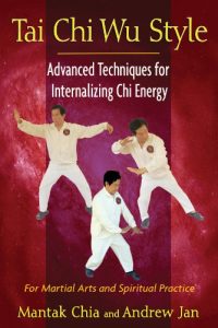 Baixar Tai Chi Wu Style: Advanced Techniques for Internalizing Chi Energy pdf, epub, eBook
