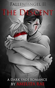 Baixar Descent: A Dark Yaoi Romance (Fallen Angel Book 2) (English Edition) pdf, epub, eBook