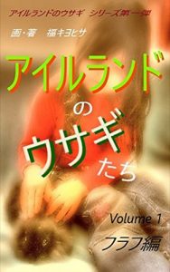 Baixar Bunnies in Ireland Irish Bunny (Japanese Edition) pdf, epub, eBook