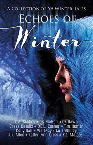 Baixar Echoes of Winter: A Wintery YA Short Story Collection (English Edition) pdf, epub, eBook