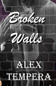 Baixar Broken Walls (Broken Bridge Book 1) (English Edition) pdf, epub, eBook