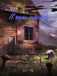 Baixar Il regno invisibile pdf, epub, eBook