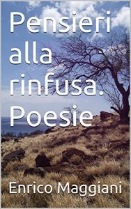 Baixar Pensieri alla rinfusa.  Poesie (Italian Edition) pdf, epub, eBook