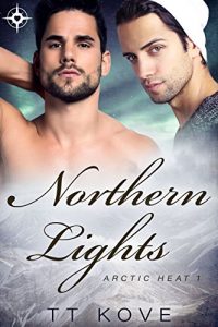 Baixar Northern Lights (Arctic Heat Book 1) (English Edition) pdf, epub, eBook